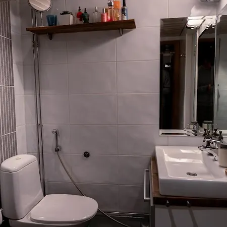 Rollo Downtown * 罗瓦涅米